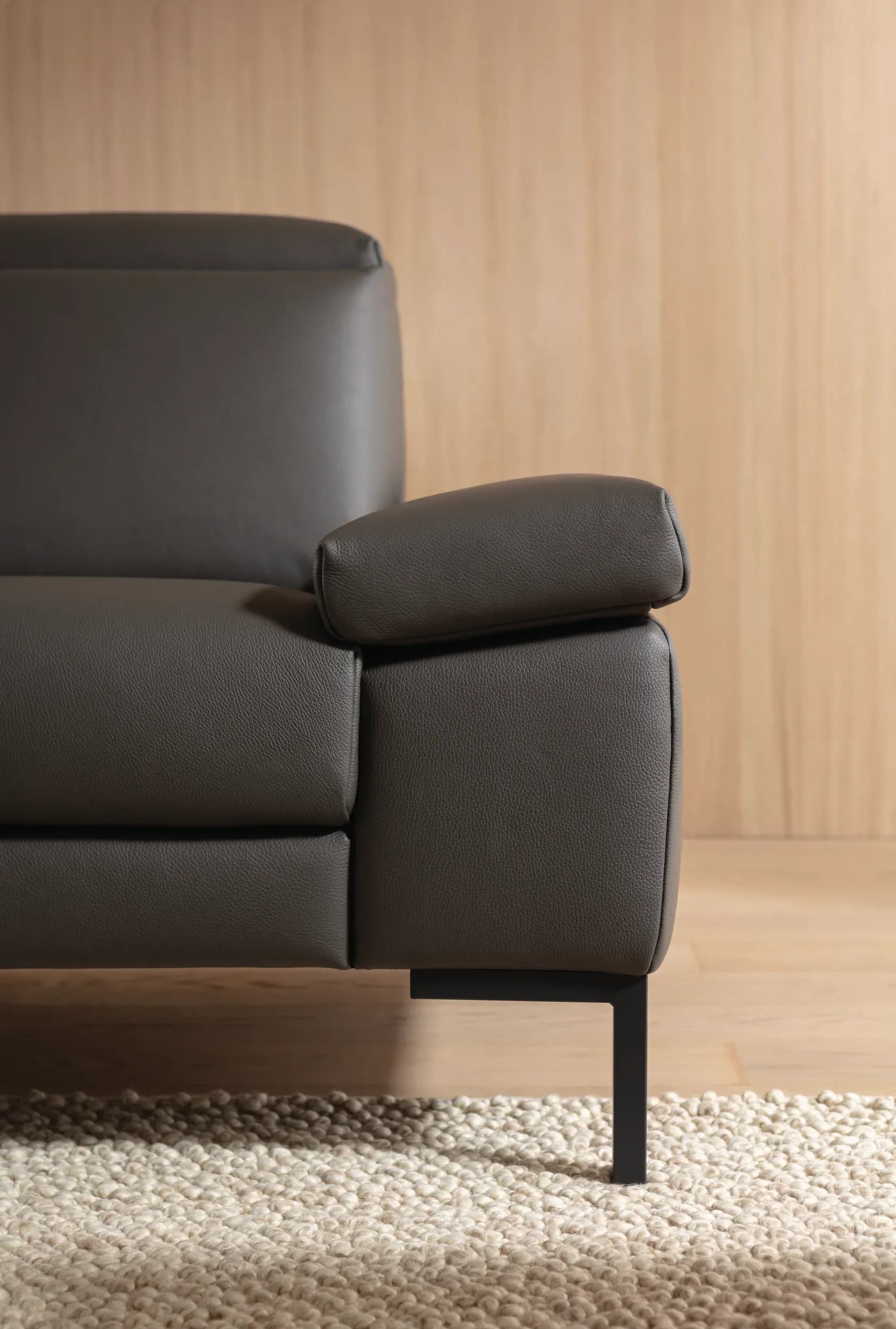 Sofa Braska - 2,5-Sitzer, inkl. Kopfstütze und Armlehne verstellbar, Leder, Anthrazit